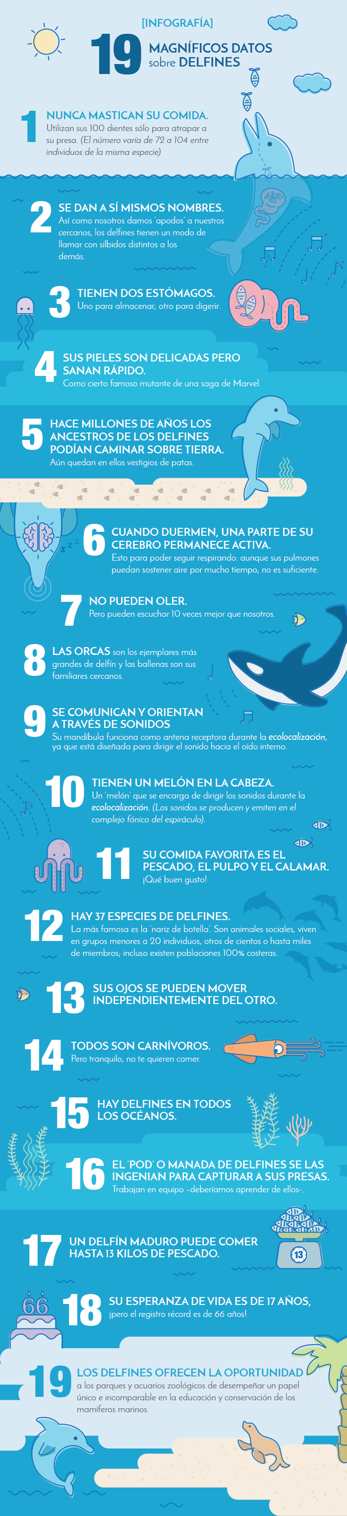 datos-sobre-delfines-infografia