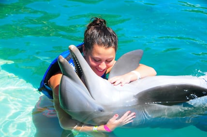 nado-delfines-cancun-matrimonio nado-delfines-cancun-matrimonio