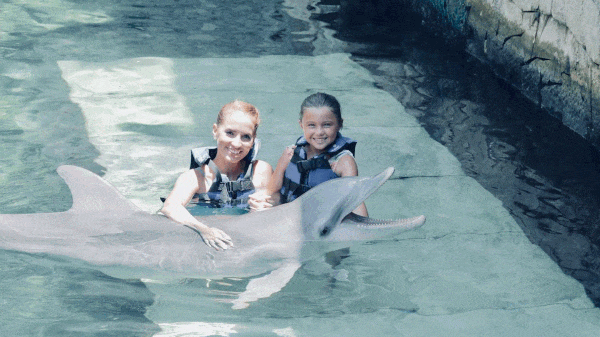 Delphinus nado con delfines Xcaret