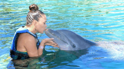 Delphinus Xel-Ha atracciones nado con delfines