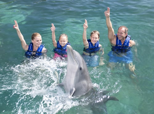 nado-con-delfines-paquete-xcaret-todo-incluido-familias.png