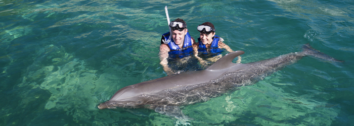 Descubre-el-mejor-nado-con-delfines-en-Cancun.png
