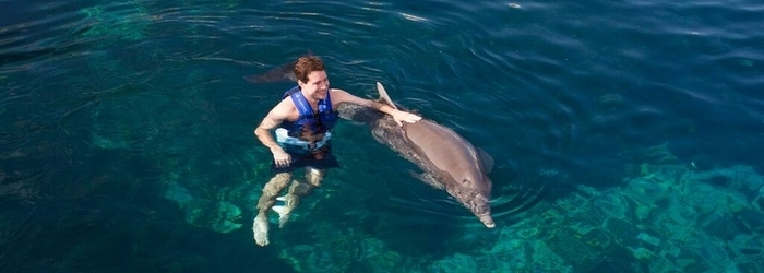 nado-con-delfines-individual.png