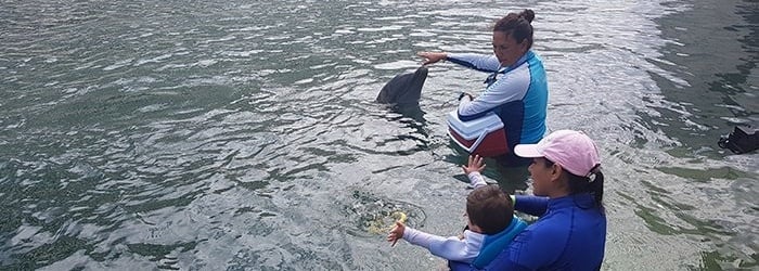 autismo-terapia-delfines