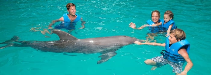 Cuanto Cuesta Nadar Con Delfines En Cancun