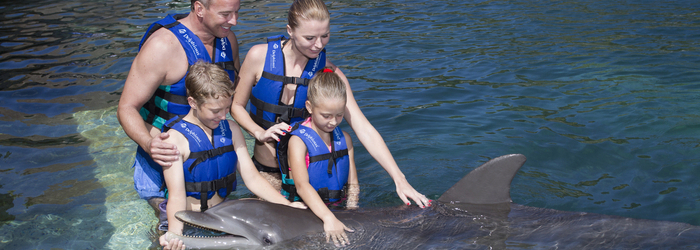 nado-delfines-cancun-actividades-acuaticas.png