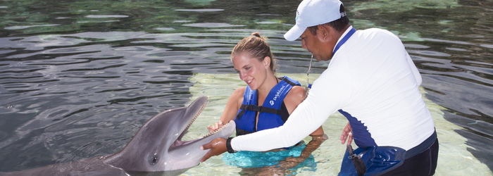 tips-para-nadar-con-delfines
